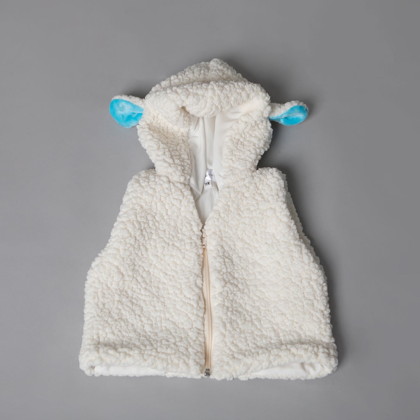 Blue Sherpa Hoodie